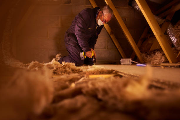 Best Attic Insulation Near Me  in USA